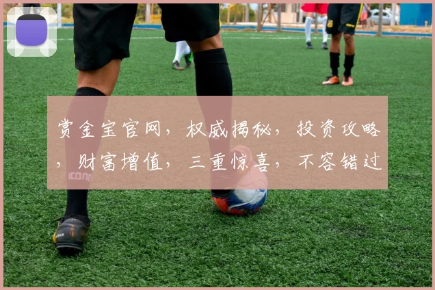 赏金宝官网，权威揭秘，投资攻略，财富增值，三重惊喜，不容错过