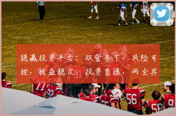 稳赢投资平台：双管齐下，风险可控，收益稳定，投资首选，两全其美策略，助您一臂之力。