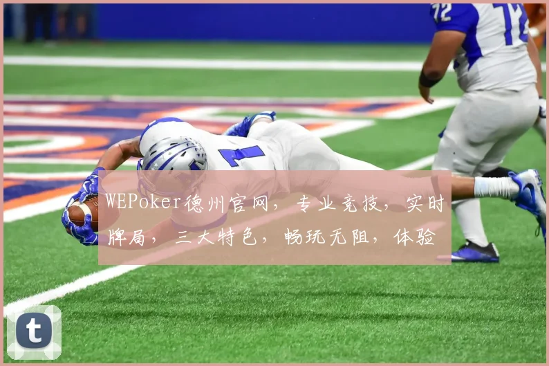 WEPoker德州官网，专业竞技，实时牌局，三大特色，畅玩无阻，体验极致乐趣