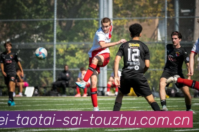 奖项证书